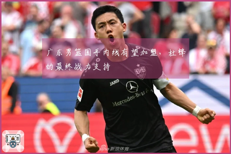 广东男篮国手内线有望加盟，杜锋的最终战力支持